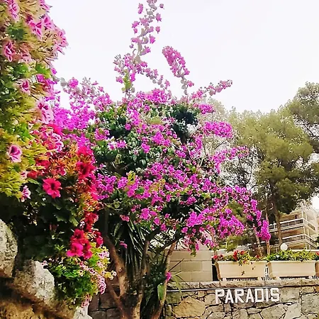 Apartment Paradis, Stunning Sea View & Close Center *
